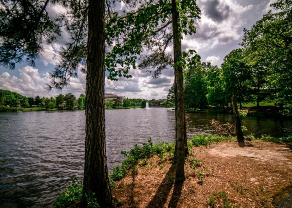 #42. Innsbrook, Virginia